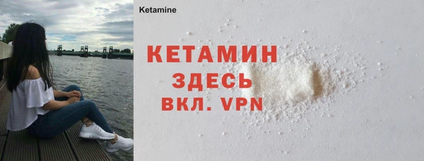 дмт Богданович