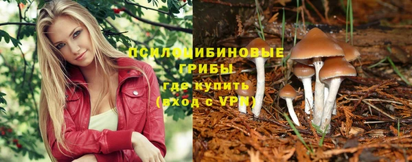 ПСИЛОЦИБИНОВЫЕ ГРИБЫ Богородск