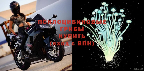 ALPHA-PVP Богородицк