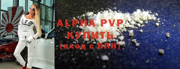 дмт Богданович