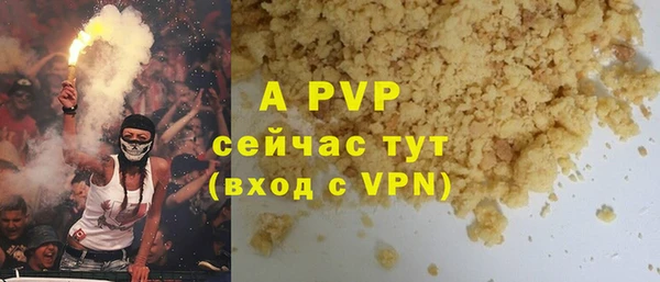 дмт Богданович